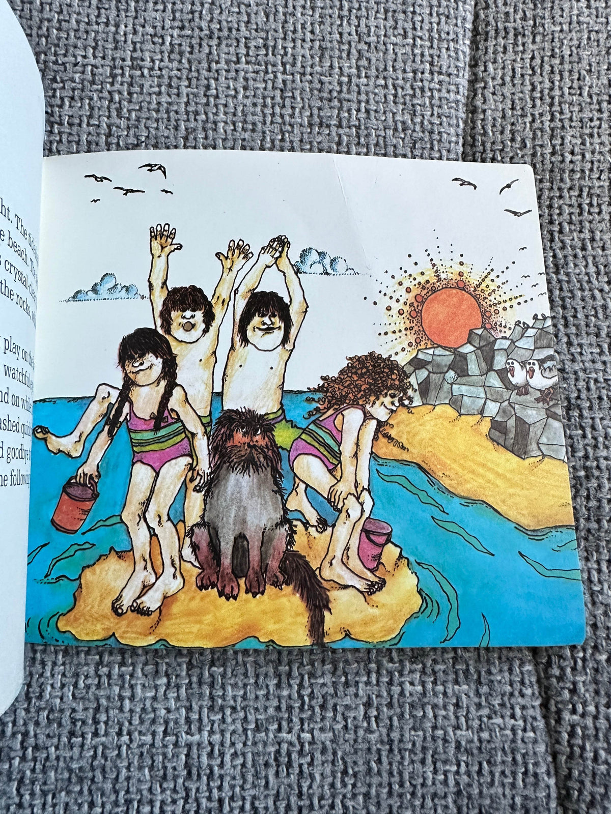 1974 The Seagull (Children Of Nature Series No4) Irene Cockroft (Guida Joseph Illust) A Fabbri Book - Honeyburn Books (UK)