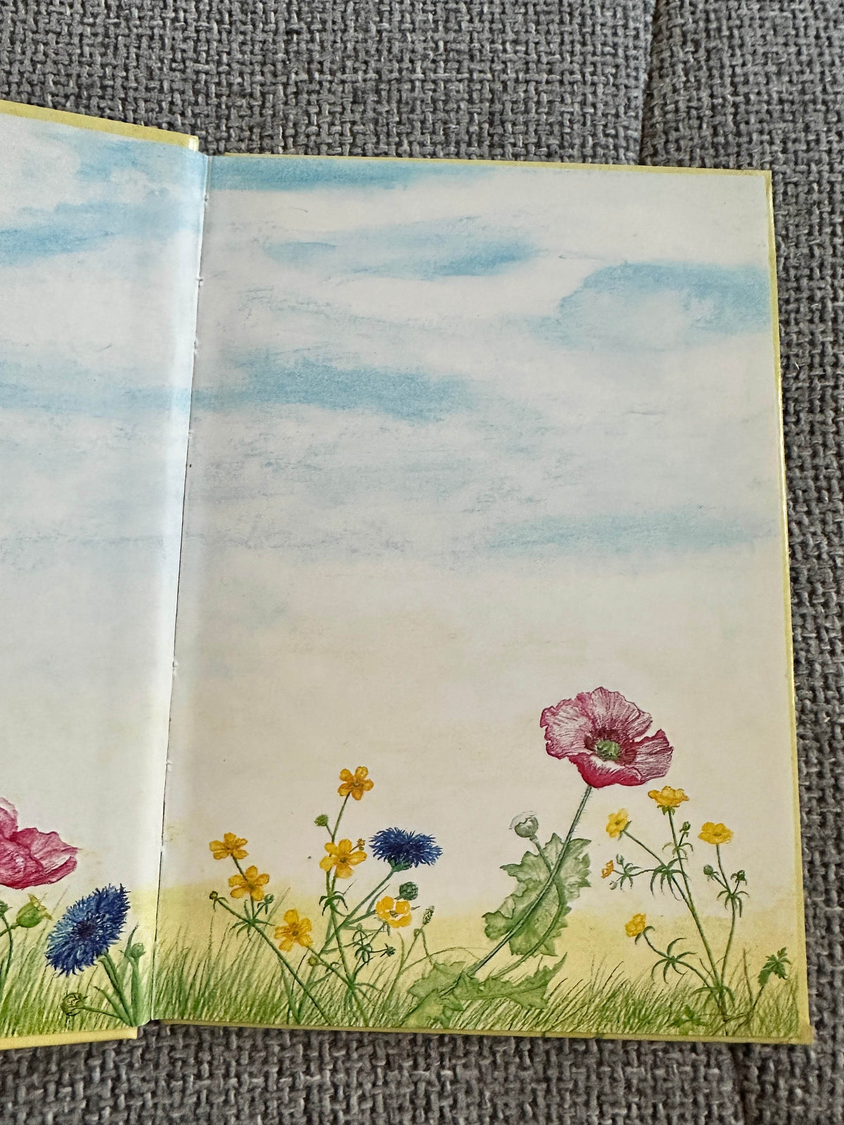 1980*1st* Zig-Zag The Bee - Mirabel Cecil (Christina Gascoigne Illust) Methuen / Walker Books - Honeyburn Books (UK)