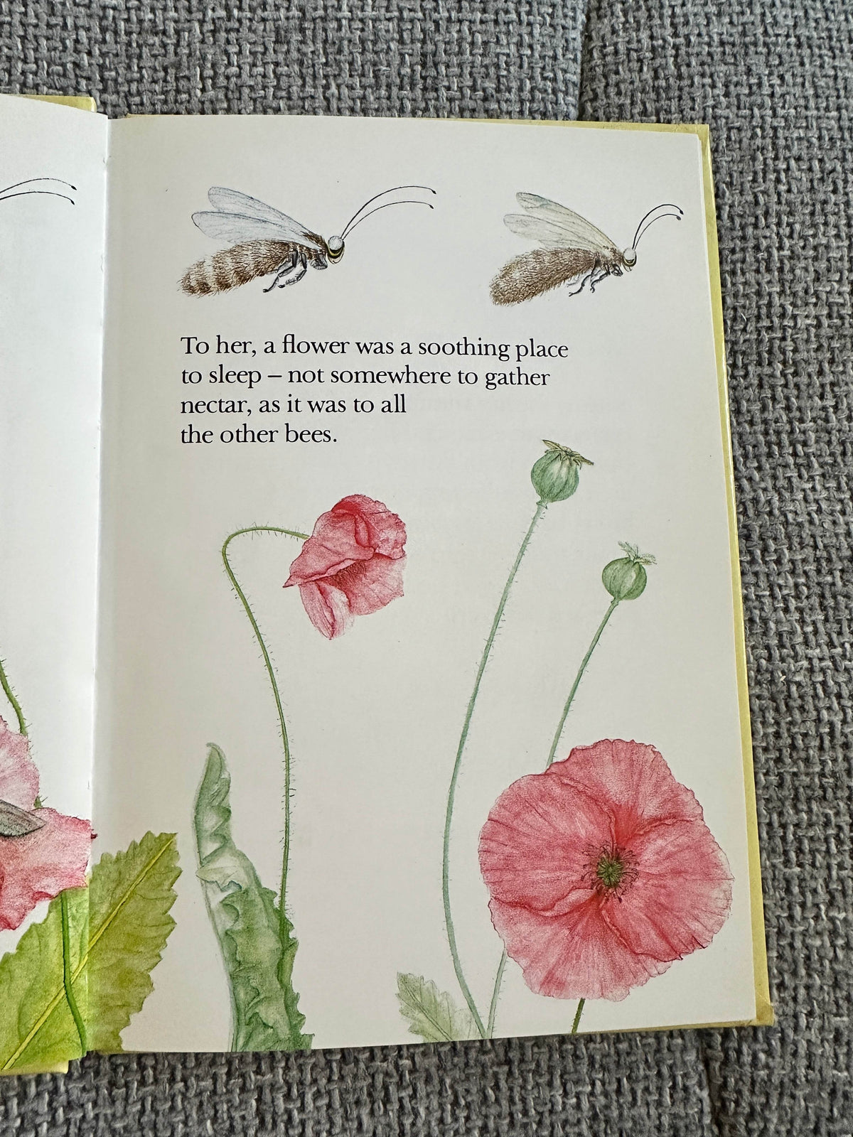 1980*1st* Zig-Zag The Bee - Mirabel Cecil (Christina Gascoigne Illust) Methuen / Walker Books - Honeyburn Books (UK)
