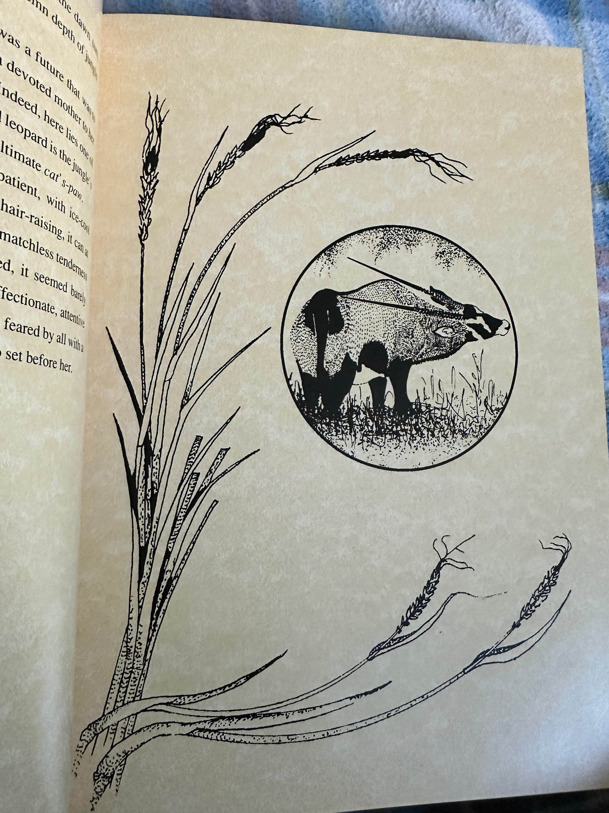 1998*Signed* Umbulala - Lena Godsall Bottriell(Rex Natura Ltd) - Honeyburn Books (UK)