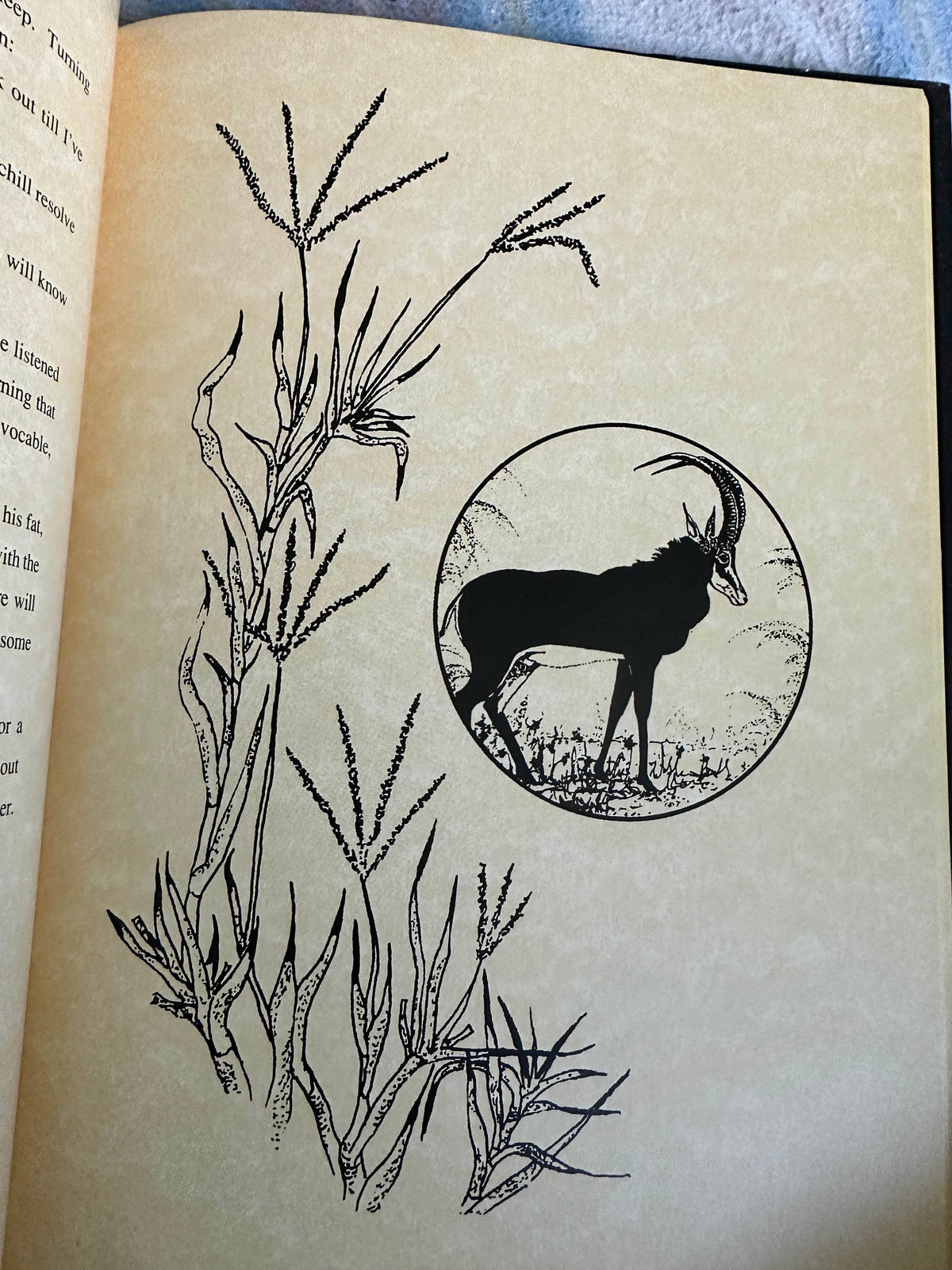 1998*Signed* Umbulala - Lena Godsall Bottriell(Rex Natura Ltd) - Honeyburn Books (UK)