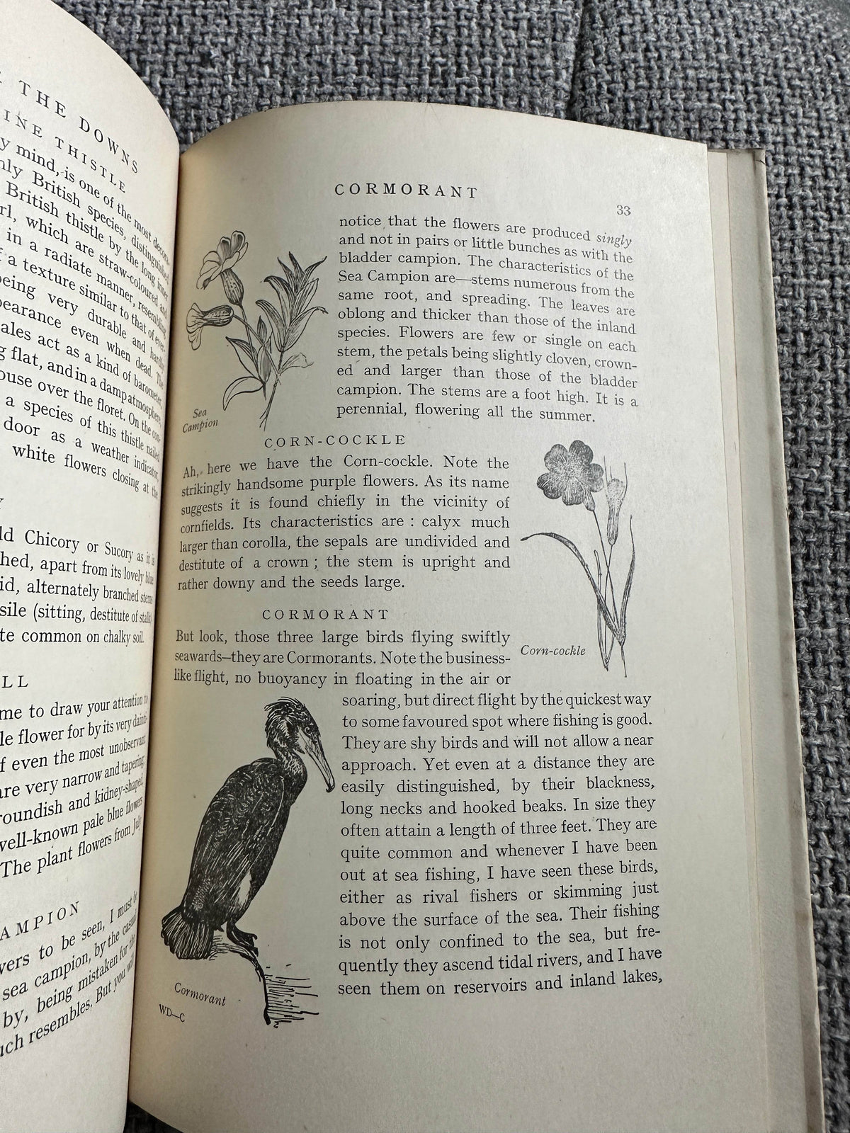 1948*1st* The Ernest Aris Nature Series: A Walk O’er The Downs (The Fountain Press) - Honeyburn Books (UK)