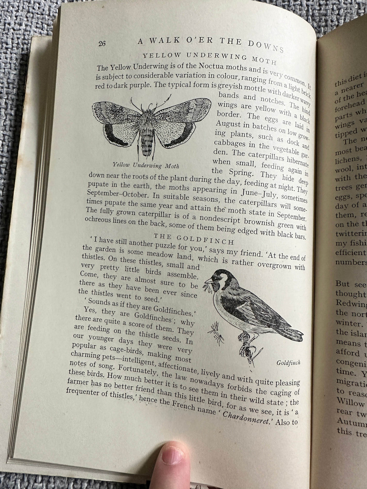 1948*1st* The Ernest Aris Nature Series: A Walk O’er The Downs (The Fountain Press) - Honeyburn Books (UK)