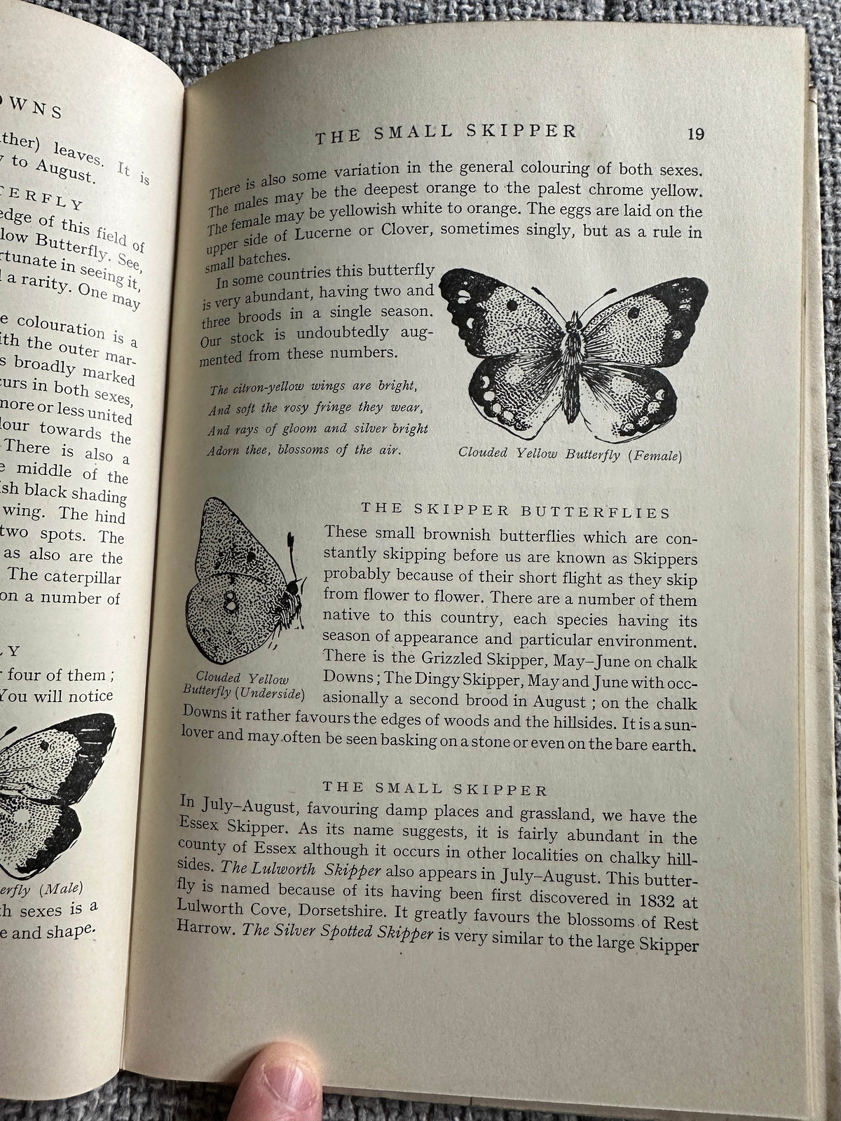 1948*1st* The Ernest Aris Nature Series: A Walk O’er The Downs (The Fountain Press) - Honeyburn Books (UK)