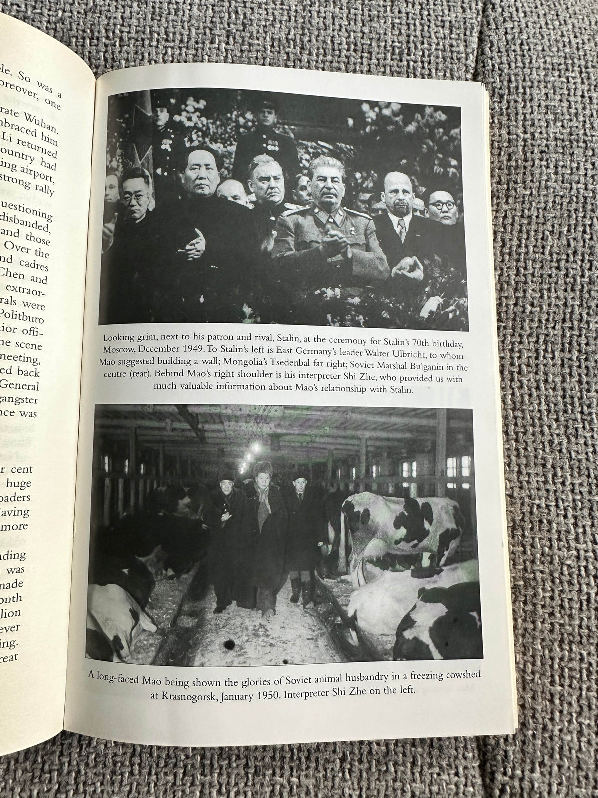 2006 Mao: The Unknown Story - Jung Chang & Jon Halliday (Vintage Books) - Honeyburn Books (UK)