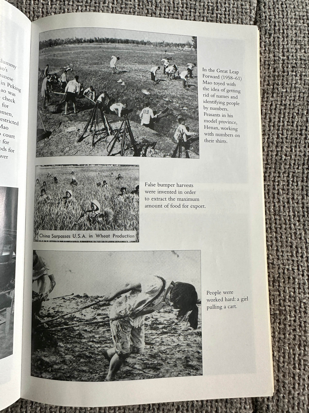 2006 Mao: The Unknown Story - Jung Chang & Jon Halliday (Vintage Books) - Honeyburn Books (UK)
