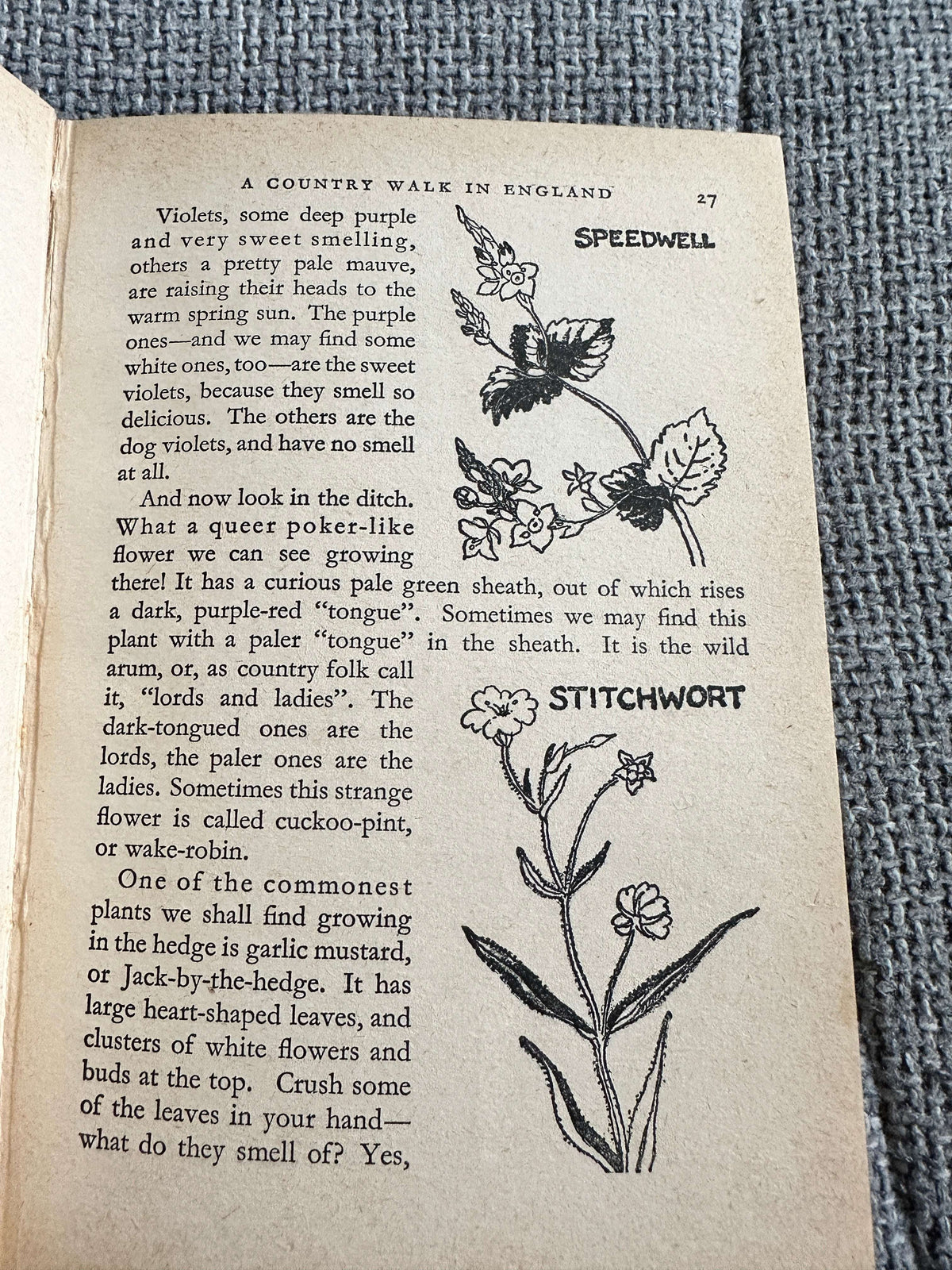 1965 Sunshine Book - Enid Blyton (Dean & Son Ltd)