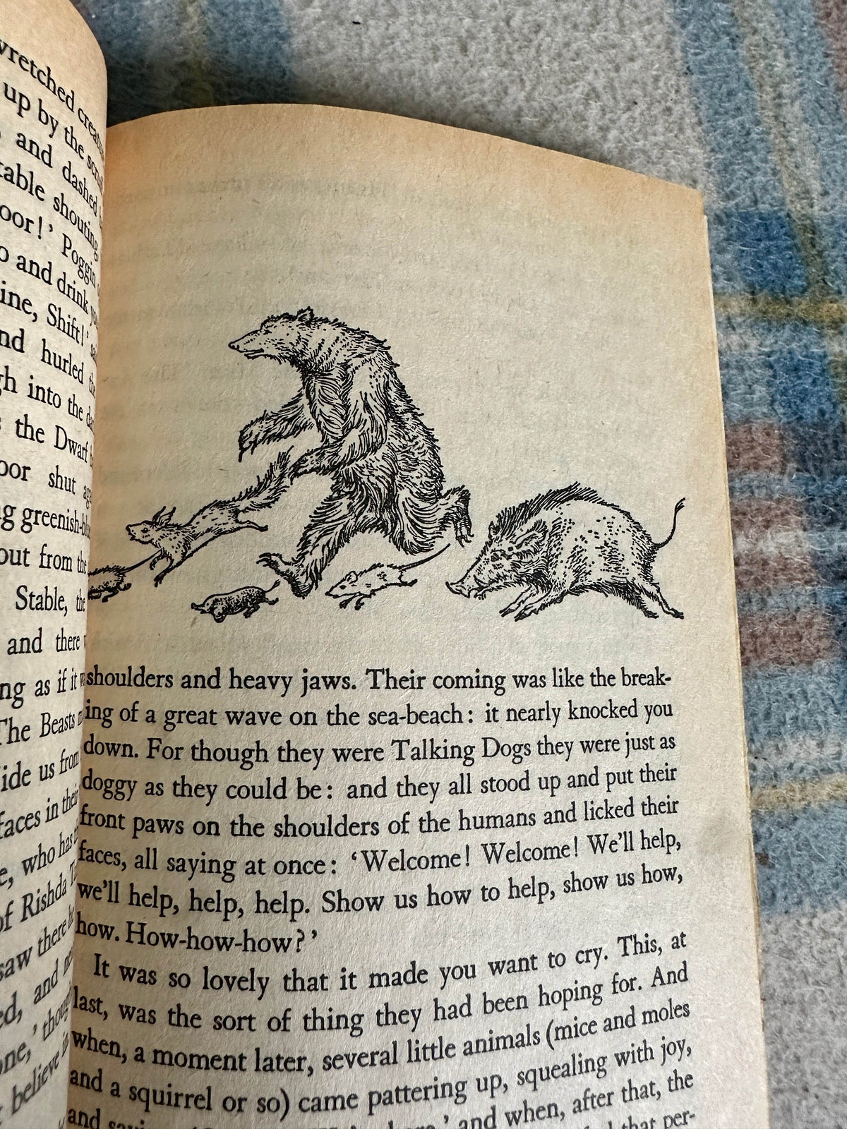 1979 The Last Battle - C. S. Lewis(Pauline Baynes Illust) Penguin Books - Honeyburn Books (UK)