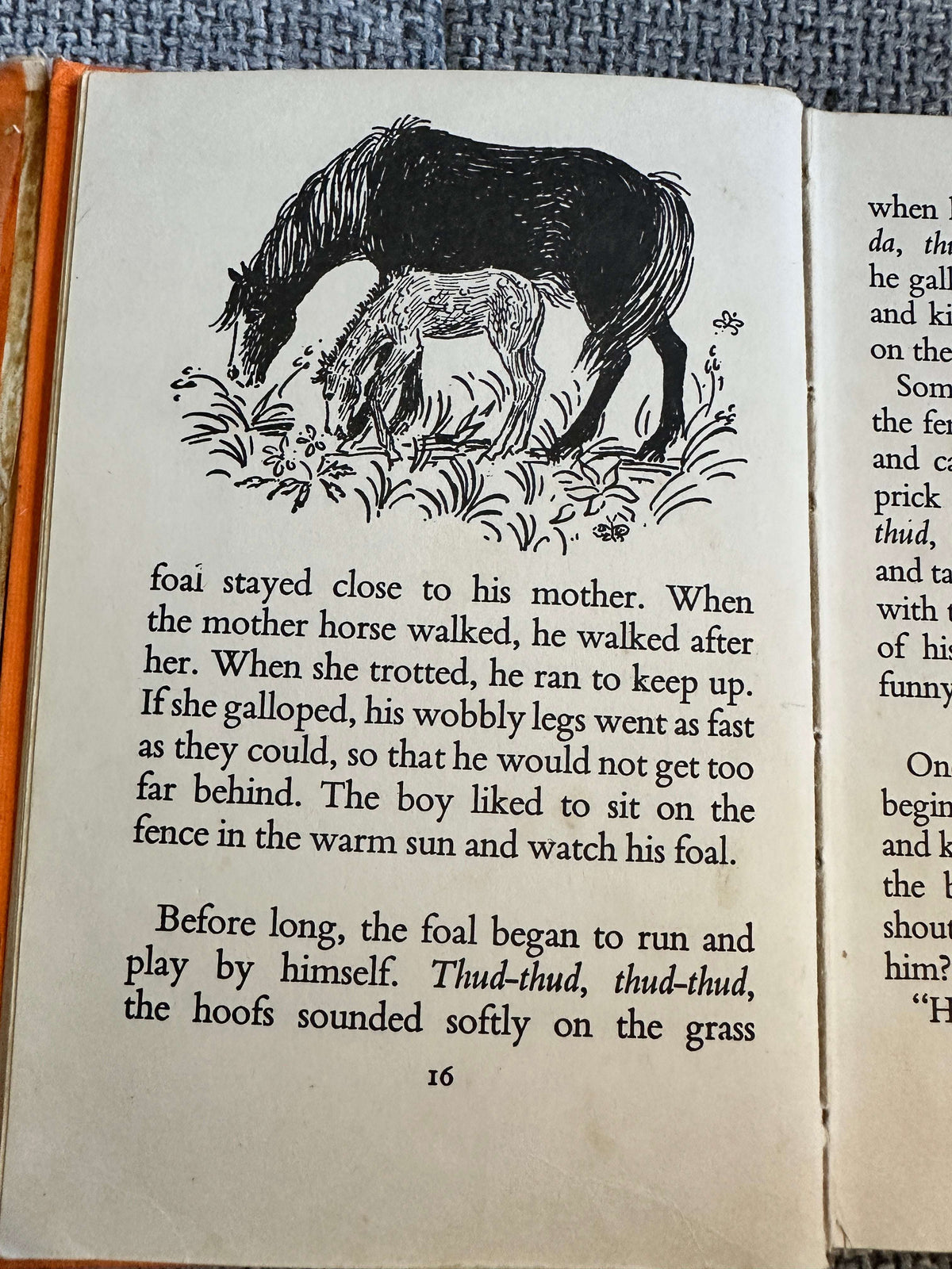 1968 A Boy & His Horse - Grace Skaar (Monica Brasier - Creagh Illust) Antelope Books Hamish Hamilton