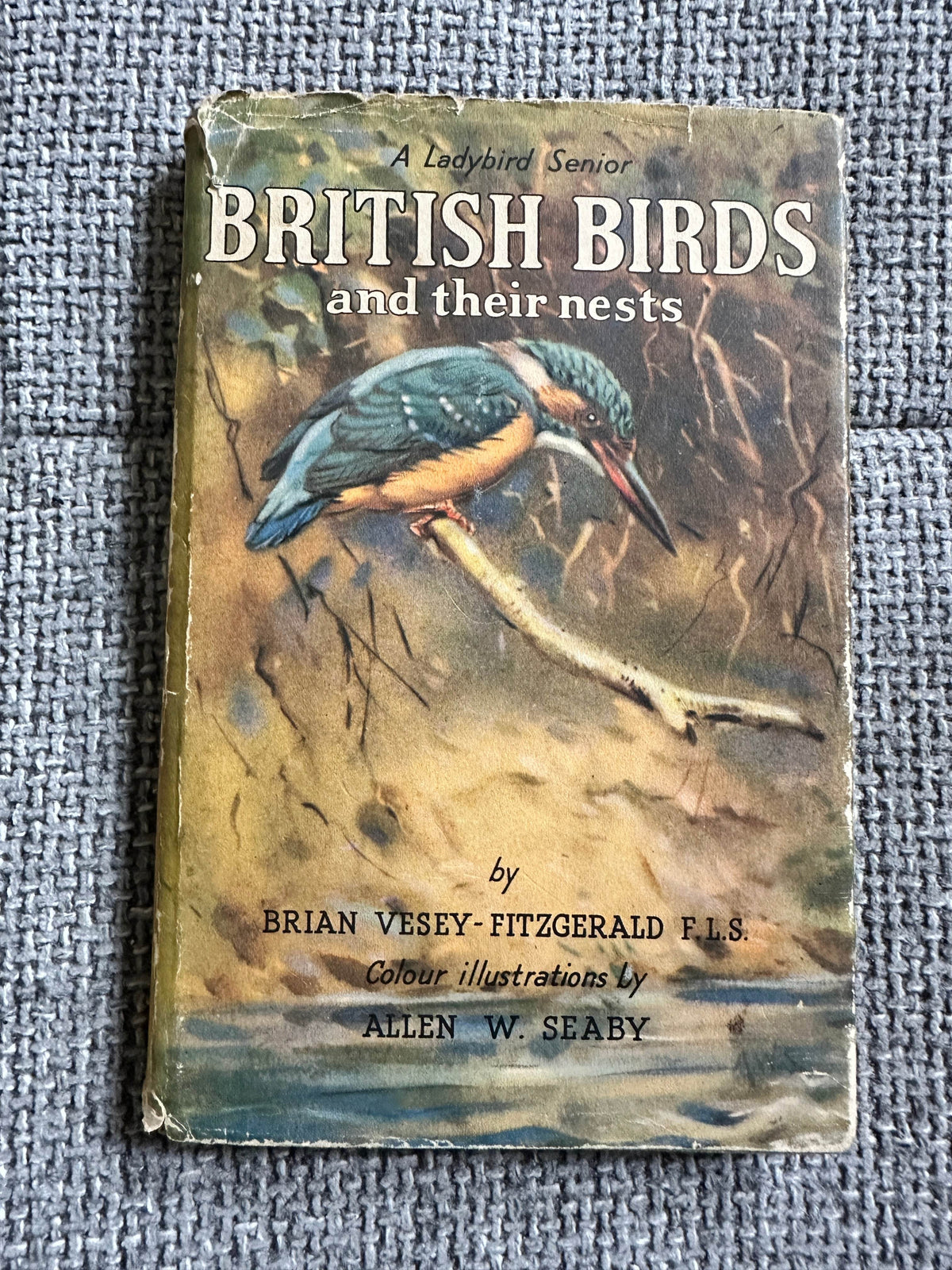1953*1st* British Birds & Their Nests (Book 1) Ladybird Senior series 536 - Brian Vesey-Fitzgerald (Allen W. Seaby Illust) Wills & Hepworth - Honeyburn Books (UK)