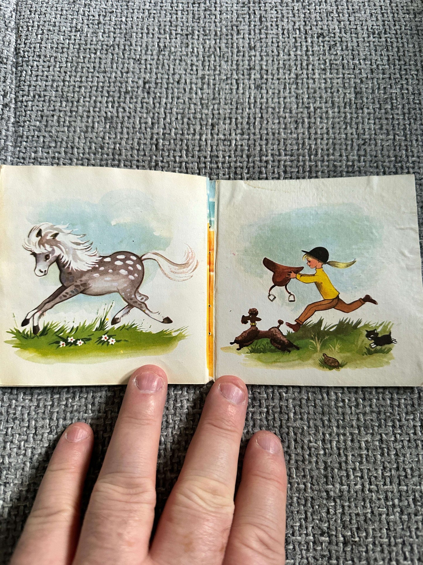 1950’s Pony Tales (A Pixie Book) - Marion Foster (Collins)