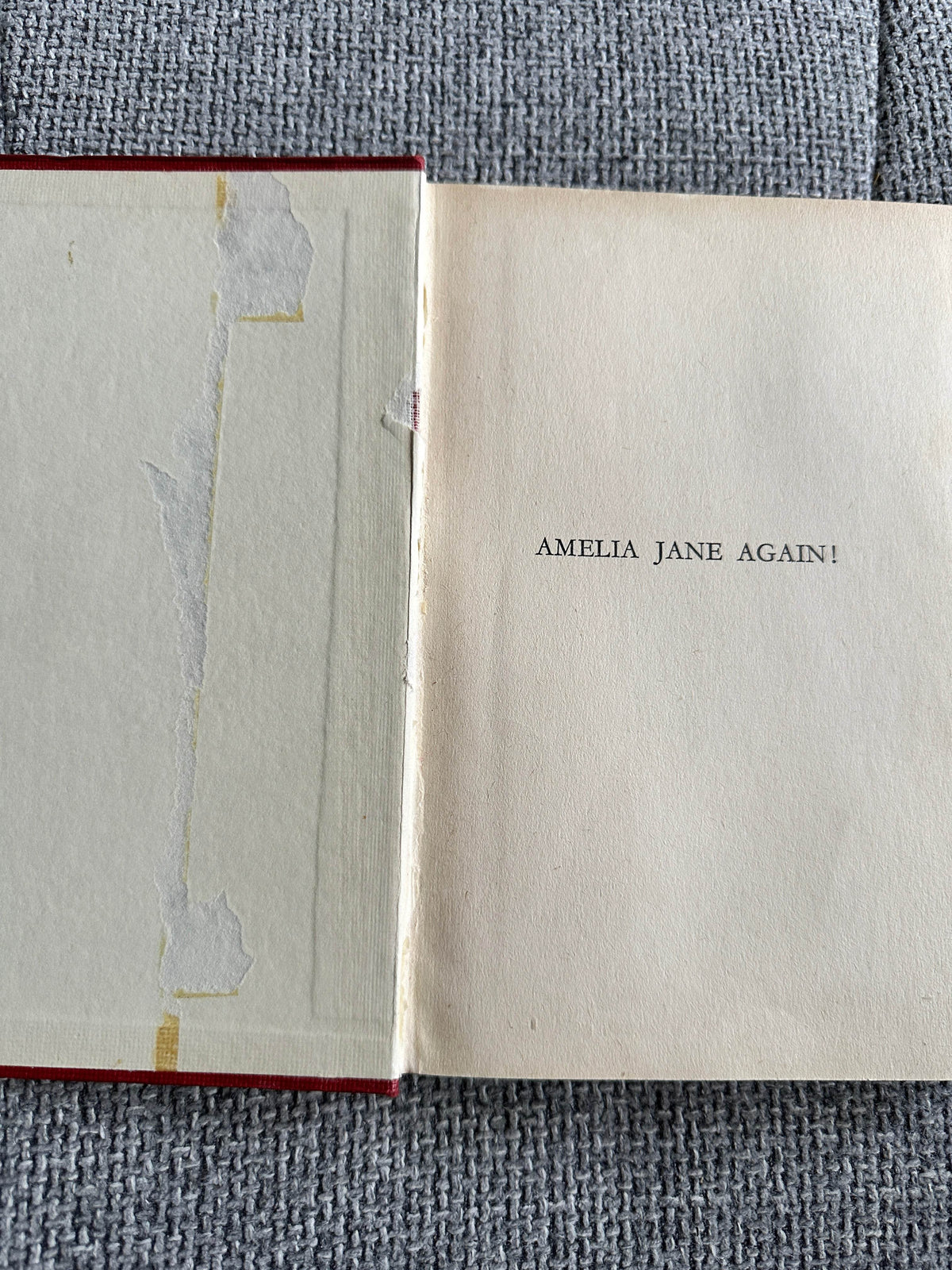 1959 Amelia Jane Again! - Enid Blyton (Sylvia I. Venus Illust) George Newnes Ltd. - Honeyburn Books (UK)