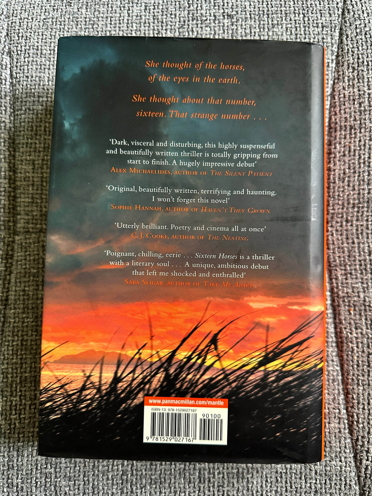 2021*1st* Sixteen Horses - Greg Buchanan (Mantle) - Honeyburn Books (UK)