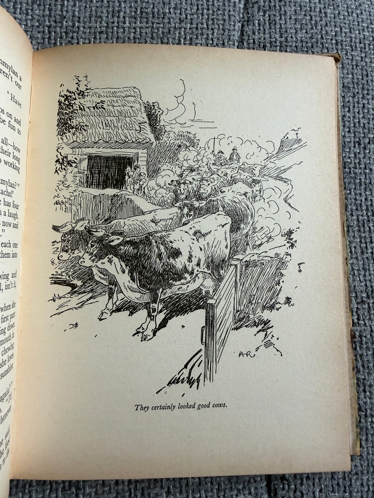 1955 The Children Of Willow Farm - Enid Blyton (Harry Rountree illust) Country Life - Honeyburn Books (UK)