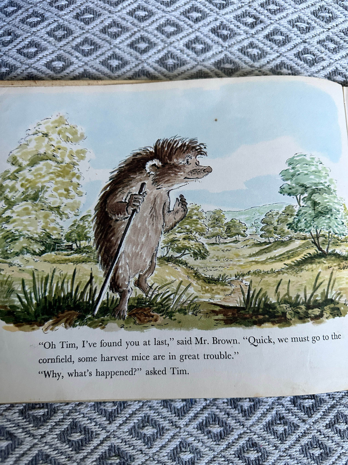 1966*1st* Tim Mouse - Judy Brook (This Worlds Work(1913) Ltd - Honeyburn Books (UK)
