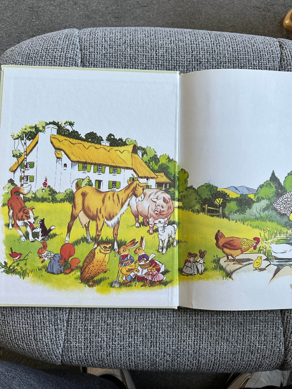 2000 Blackberry Farm: Mrs. Squirrel & Hazel - Jane Pilgrim (F. Stocks May Illust) Brockhampton Press - Honeyburn Books (UK)