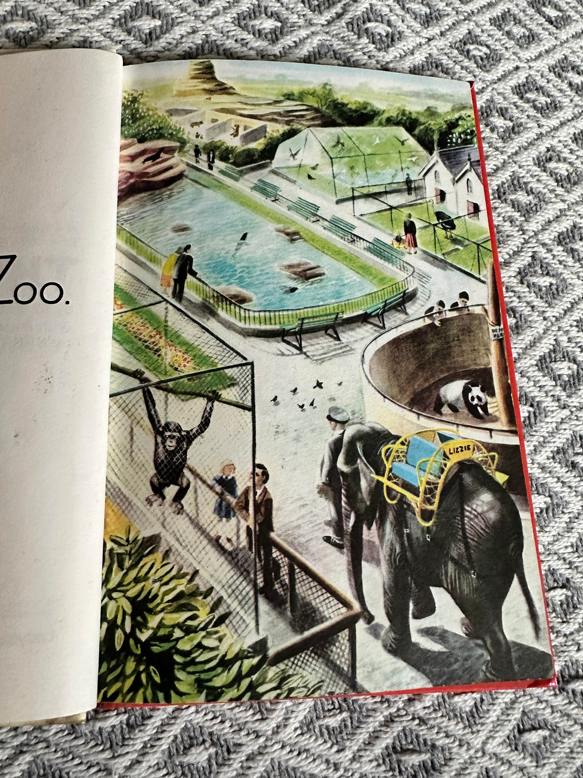1980’s The Zoo(Ladybird 563 series)M. E. Gagg(Barry Driscoll Illust) - Honeyburn Books (UK)