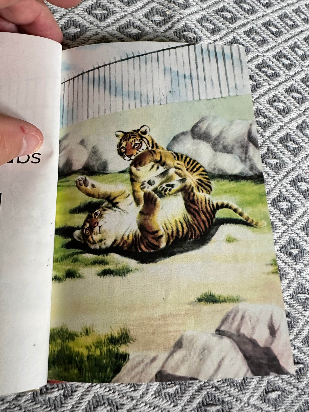 1980’s The Zoo(Ladybird 563 series)M. E. Gagg(Barry Driscoll Illust) - Honeyburn Books (UK)
