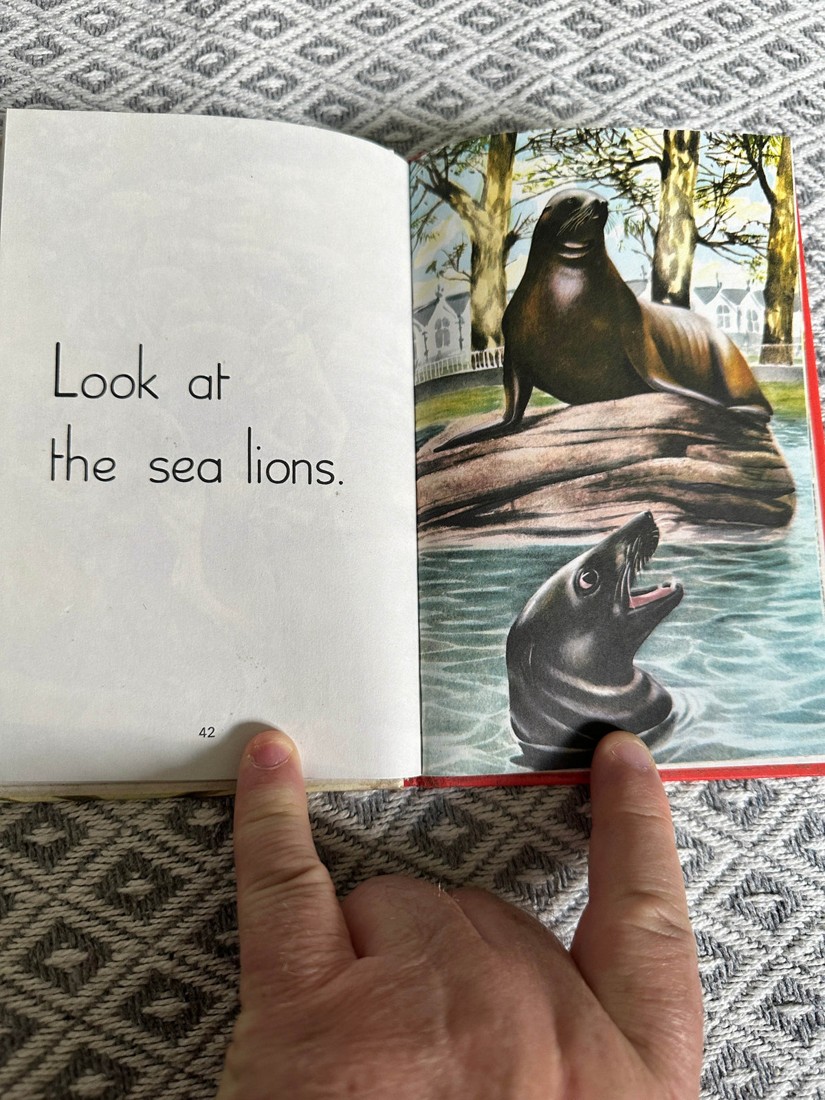1980’s The Zoo(Ladybird 563 series)M. E. Gagg(Barry Driscoll Illust) - Honeyburn Books (UK)