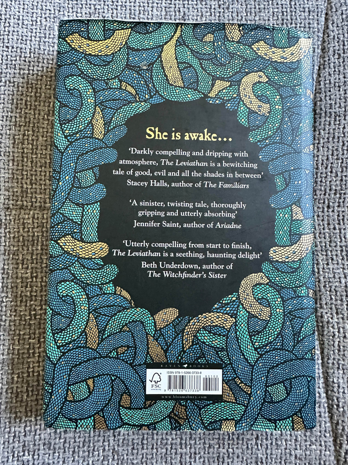 2022*Signed* The Leviathan - Rosie Andrews (Raven Books) - Honeyburn Books (UK)