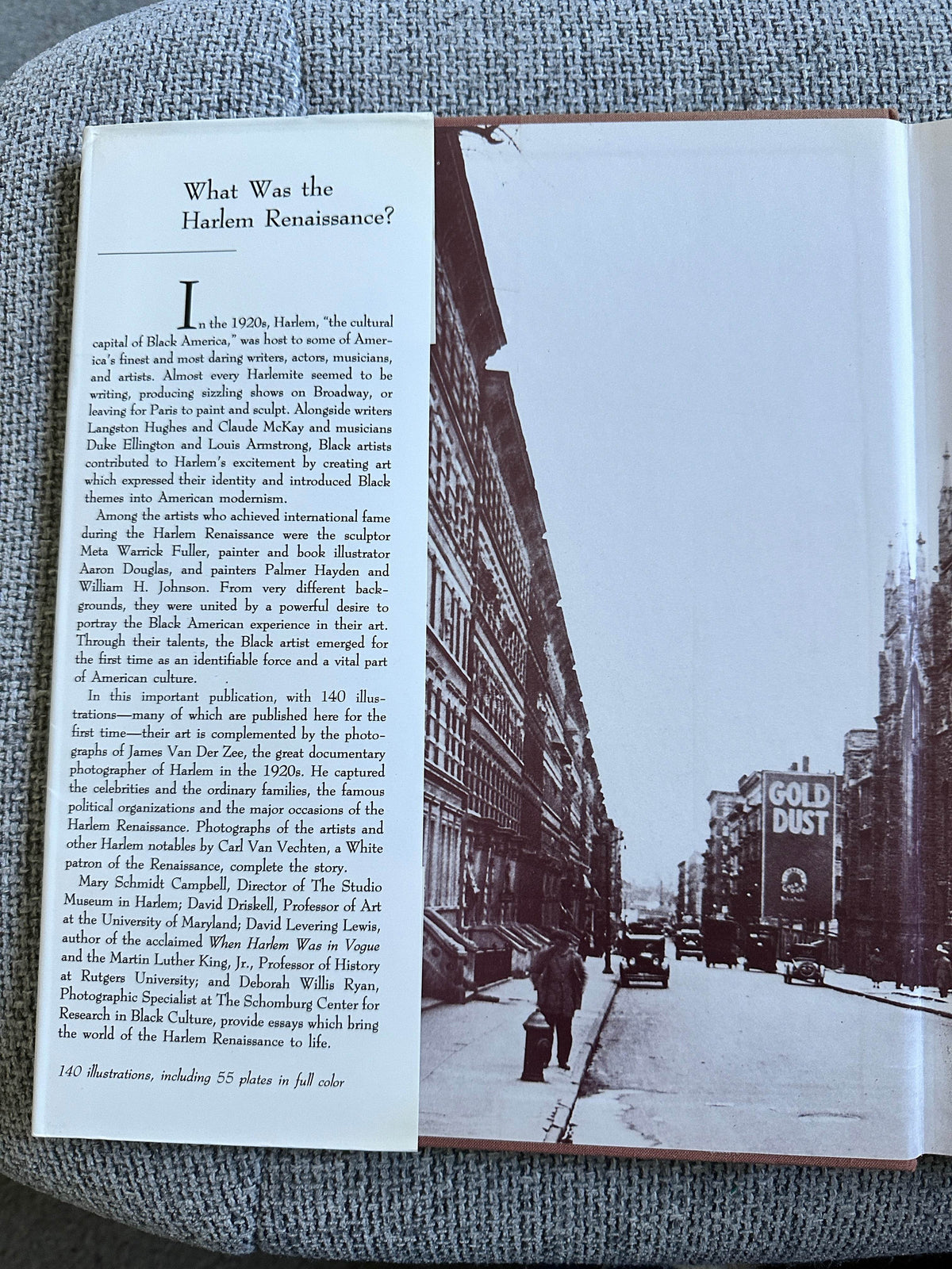 1987*1st* Harlem Renaissance Art Of Black America - The Studio Museum In Harlem / Abrams - Honeyburn Books (UK)