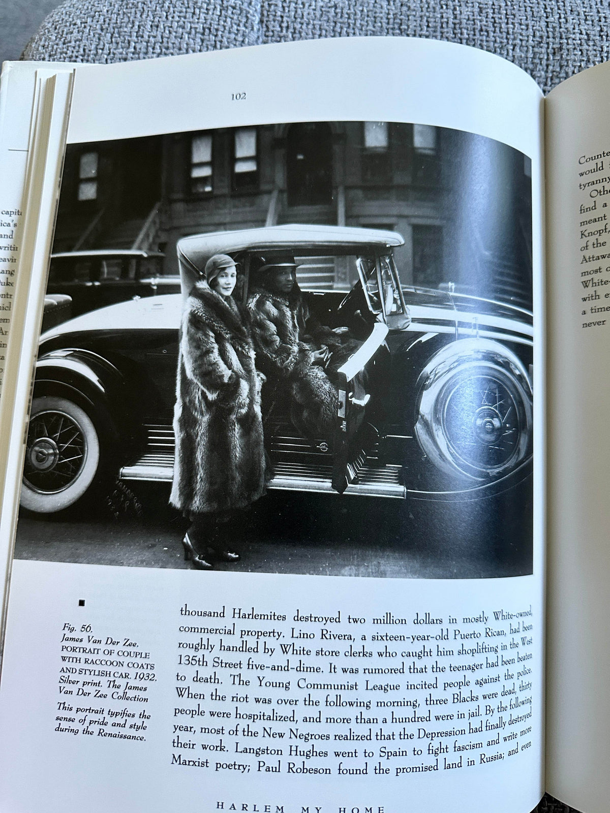 1987*1st* Harlem Renaissance Art Of Black America - The Studio Museum In Harlem / Abrams - Honeyburn Books (UK)