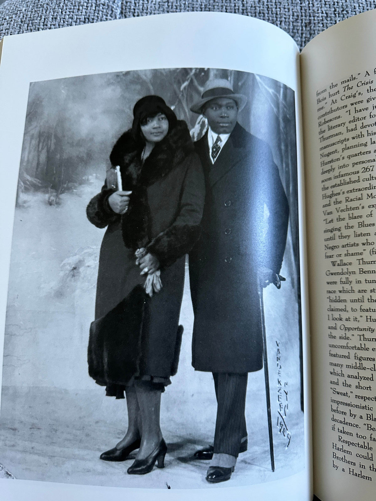 1987*1st* Harlem Renaissance Art Of Black America - The Studio Museum In Harlem / Abrams - Honeyburn Books (UK)