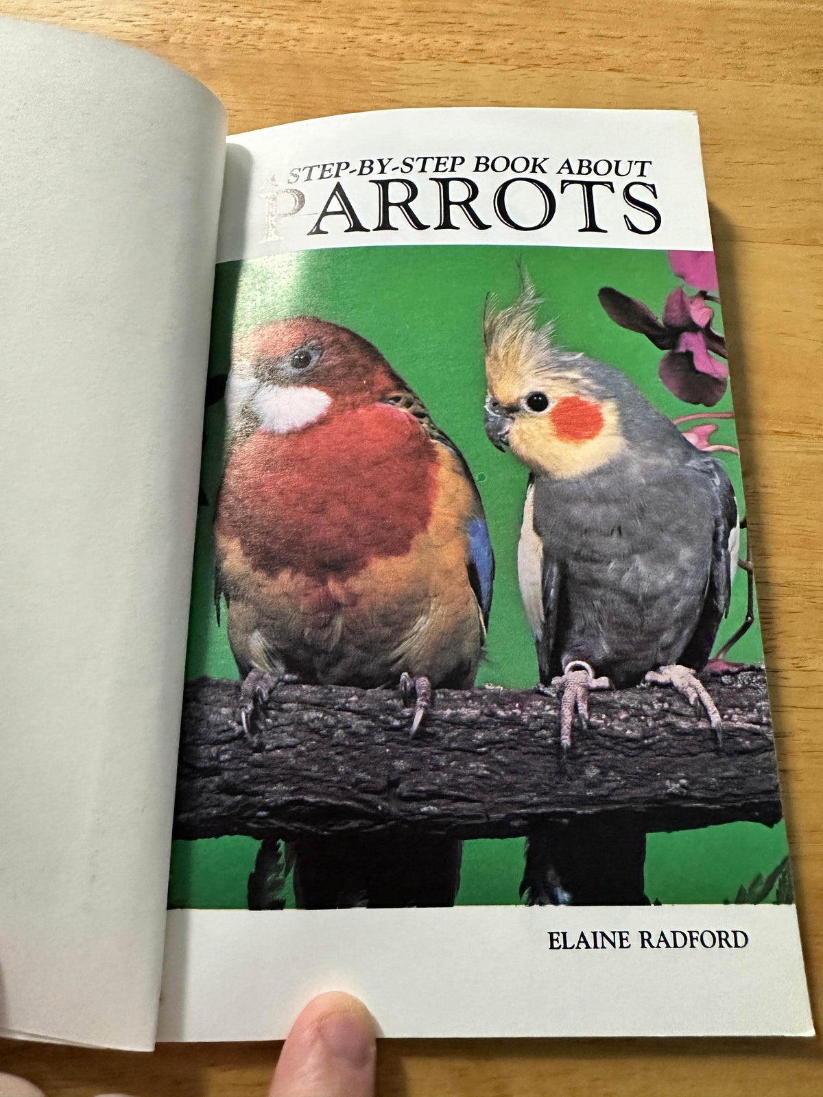 1988*1st* A Step By Step Book About Parrots - Elaine Radford(T. F. H. Publications) - Honeyburn Books (UK)