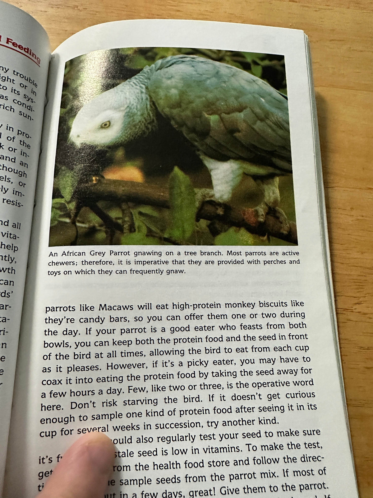 1988*1st* A Step By Step Book About Parrots - Elaine Radford(T. F. H. Publications) - Honeyburn Books (UK)