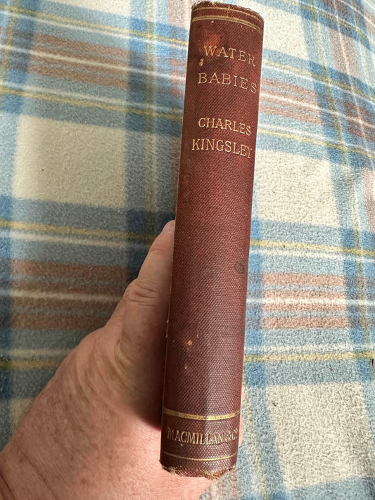 1890 Water Babies - Charles Kingsley(Illust Linley Sambourne)MacMillan & Co Ltd - Honeyburn Books (UK)