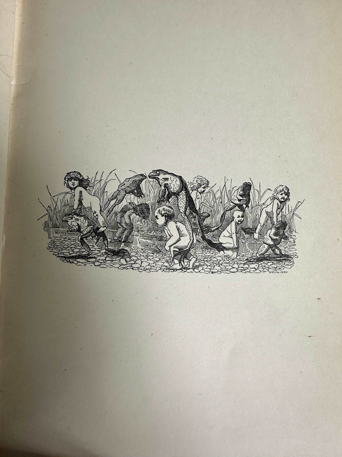 1890 Water Babies - Charles Kingsley(Illust Linley Sambourne)MacMillan & Co Ltd - Honeyburn Books (UK)