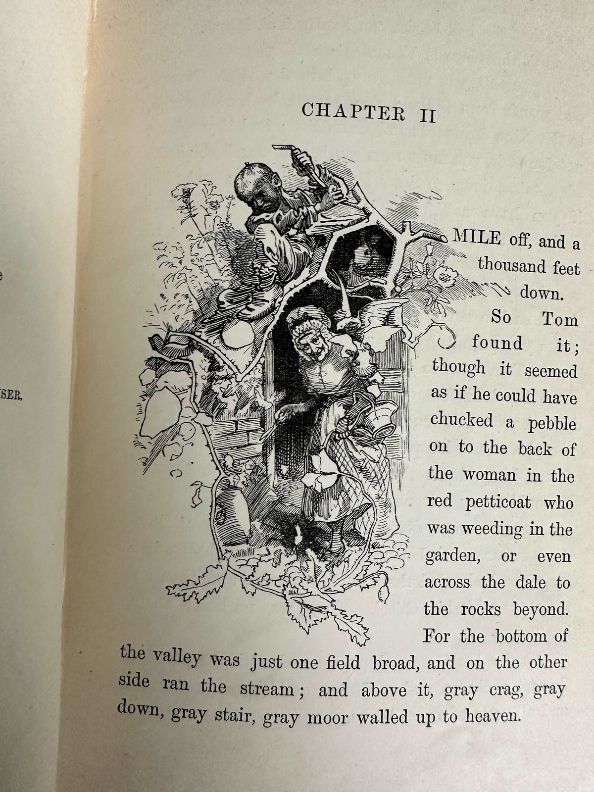 1890 Water Babies - Charles Kingsley(Illust Linley Sambourne)MacMillan & Co Ltd - Honeyburn Books (UK)