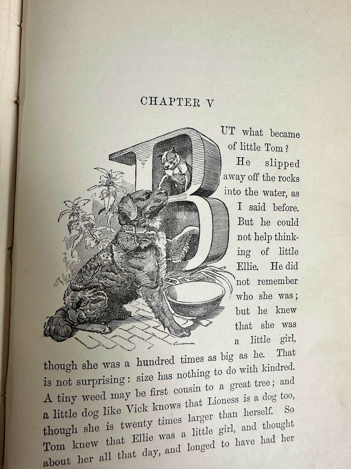 1890 Water Babies - Charles Kingsley(Illust Linley Sambourne)MacMillan & Co Ltd - Honeyburn Books (UK)