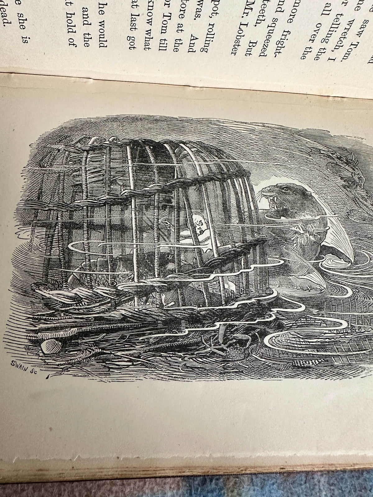 1890 Water Babies - Charles Kingsley(Illust Linley Sambourne)MacMillan & Co Ltd - Honeyburn Books (UK)