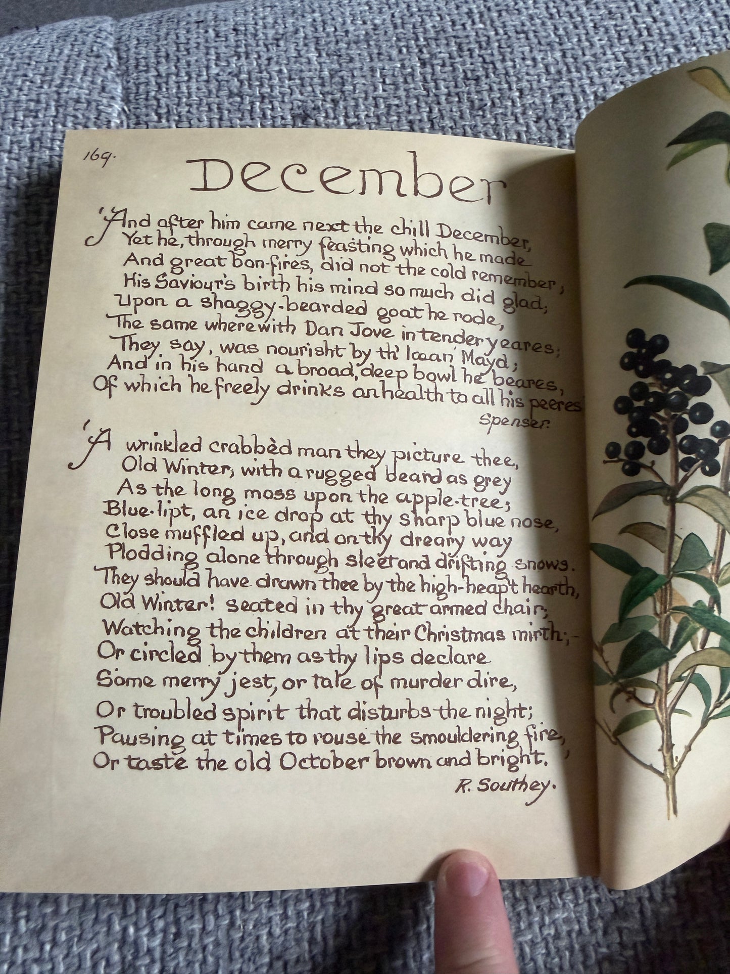 1985 The Country Diary Of An Edwardian Lady - Edith Holden (Sphere / Webb & Bower)