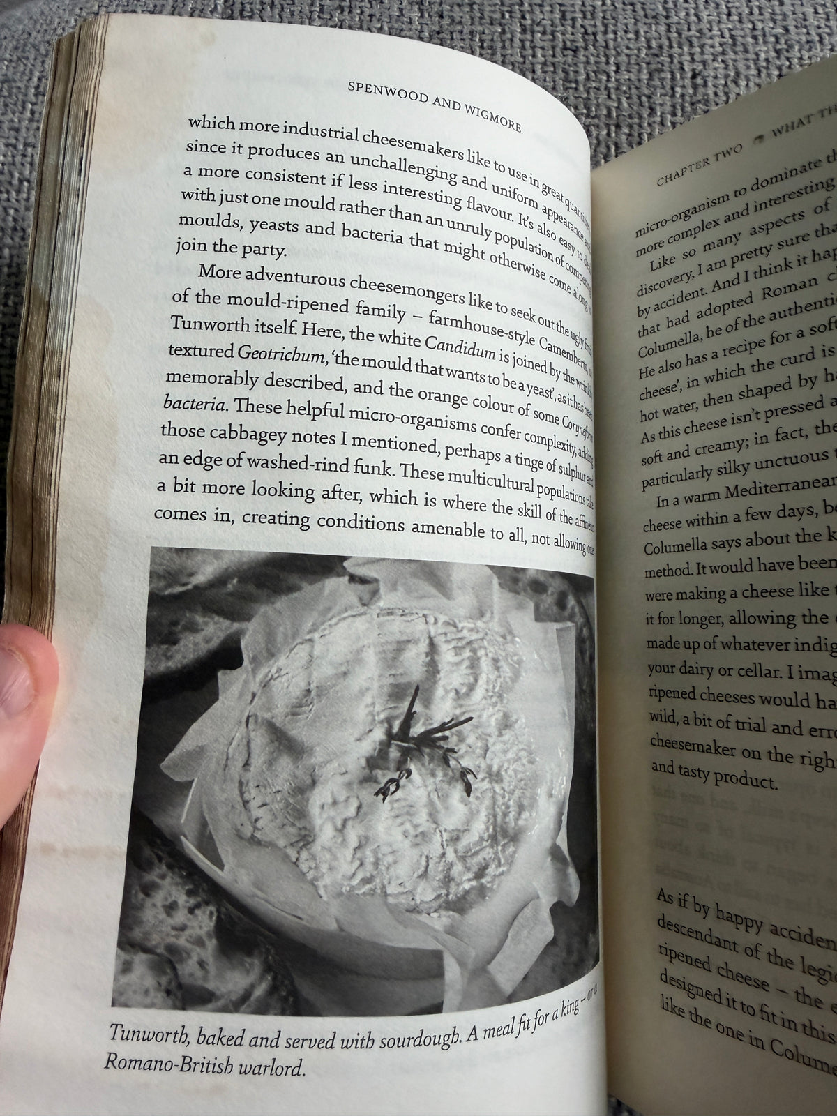 2019*1st* A Cheese Monger’s History Of The British Isles - Ned Palmer (Profile Books) - Honeyburn Books (UK)