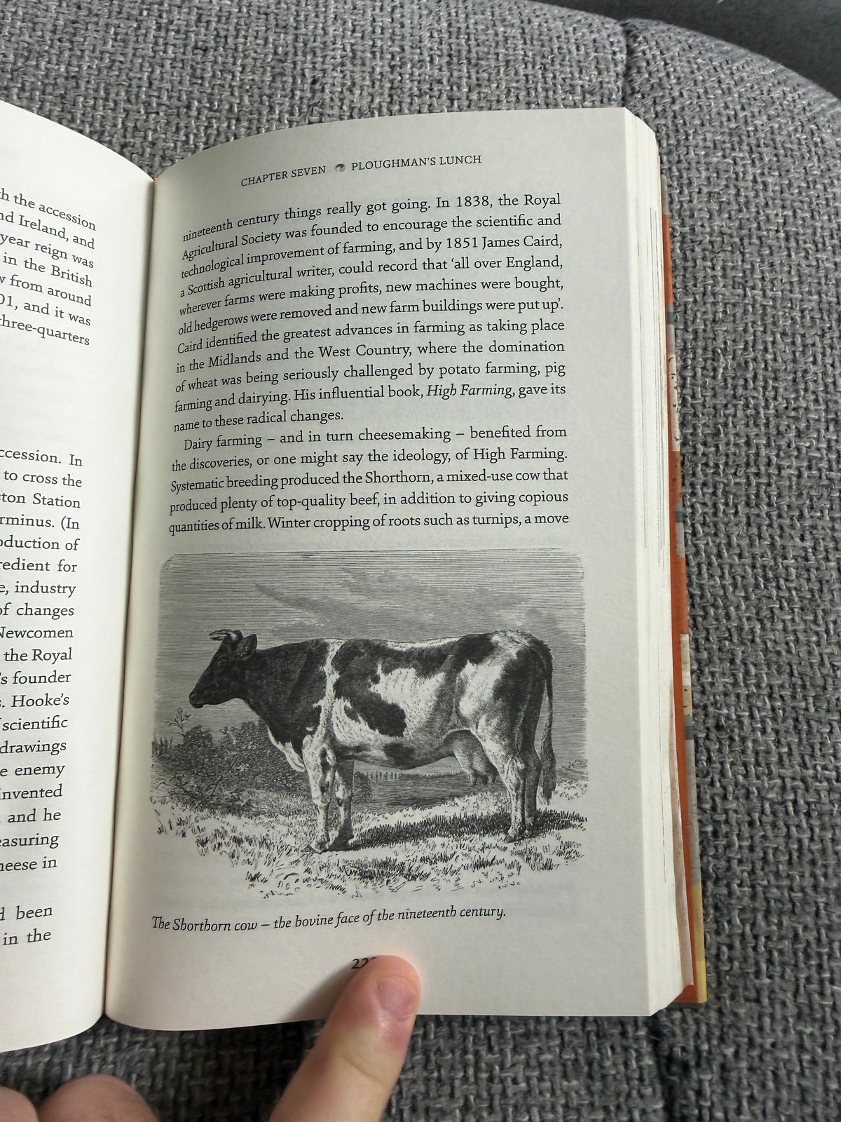 2019*1st* A Cheese Monger’s History Of The British Isles - Ned Palmer (Profile Books) - Honeyburn Books (UK)