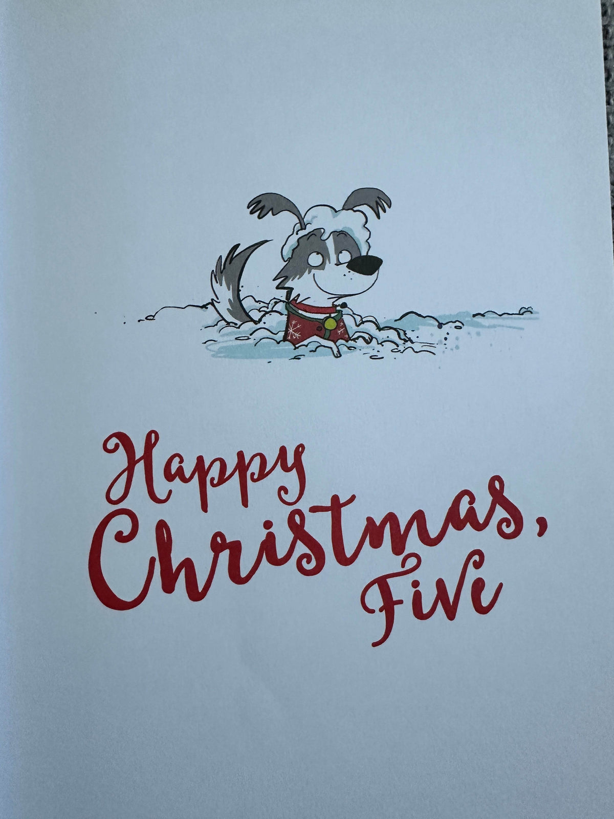 2016*1st* Famous Five Happy Christmas Five - Enid Blyton (Jamie Littler illustration) Hodder & Stoughton - Honeyburn Books (UK)