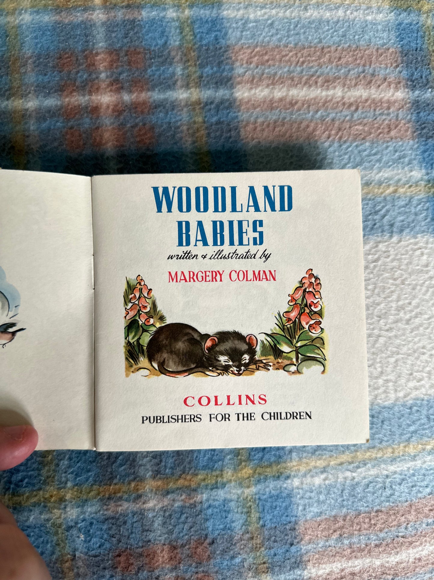 1950 Woodland Babies(A Pixie Book) Margery Colman(Collins) - Honeyburn Books (UK)