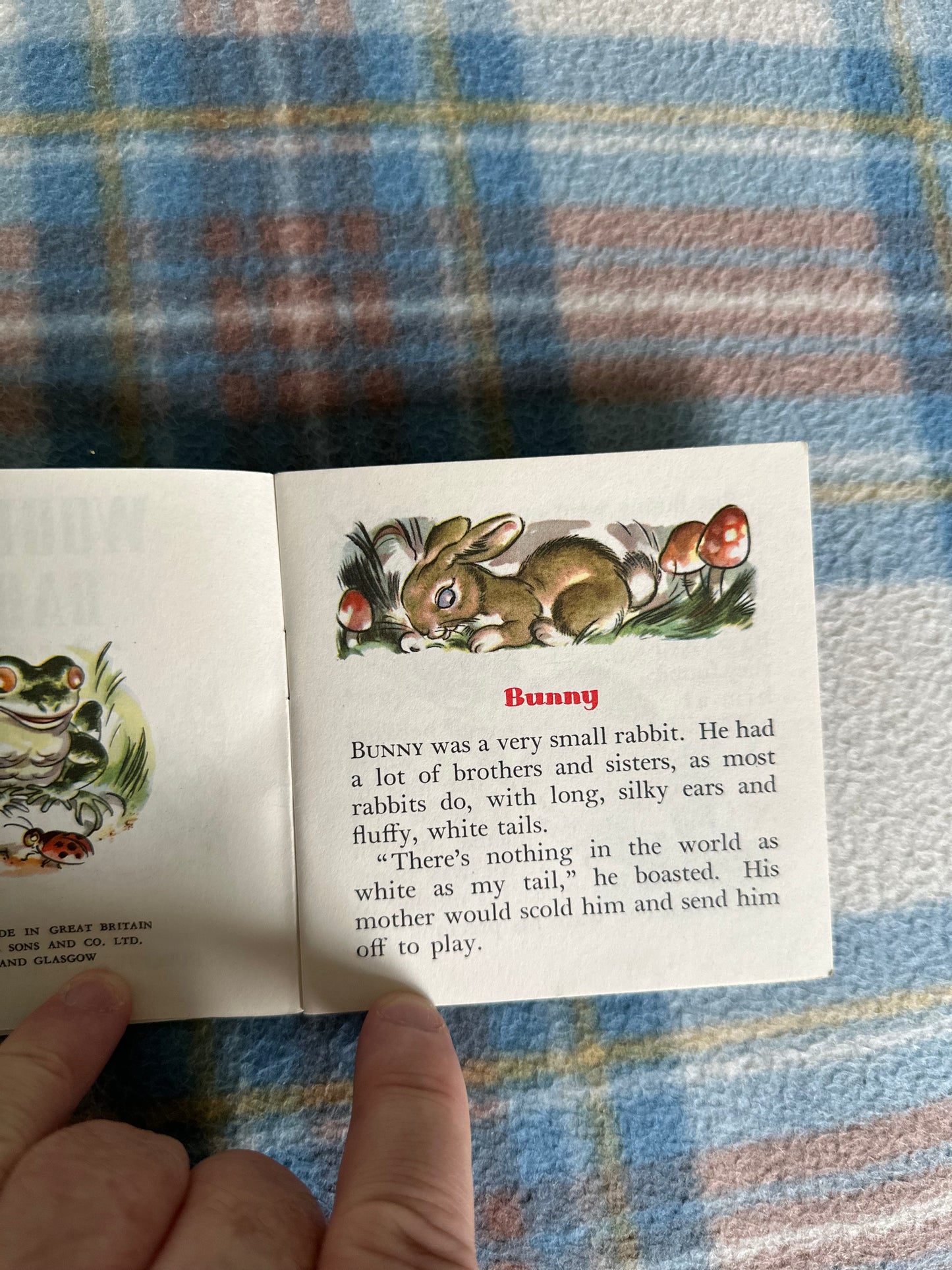 1950 Woodland Babies(A Pixie Book) Margery Colman(Collins) - Honeyburn Books (UK)