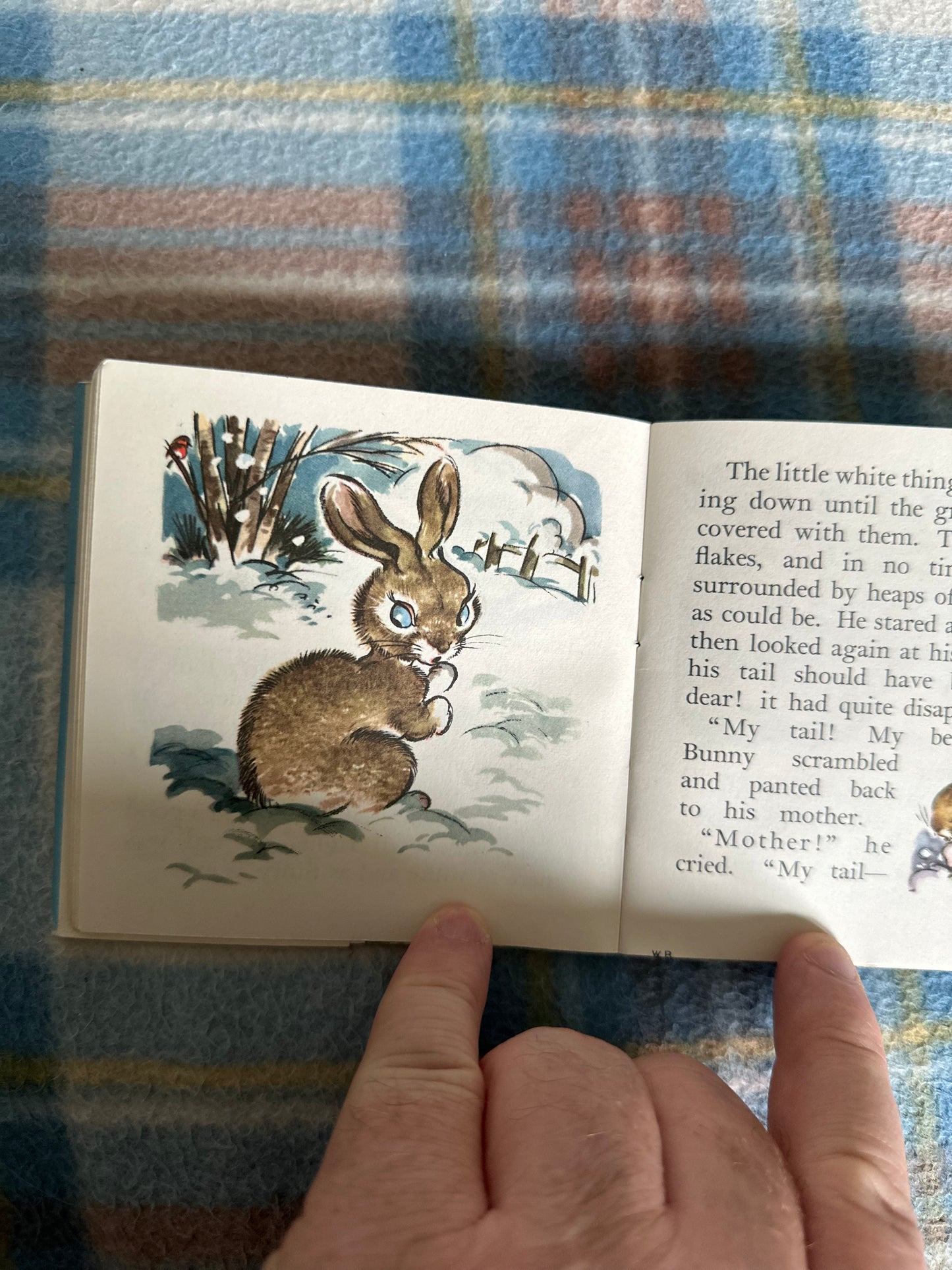 1950 Woodland Babies(A Pixie Book) Margery Colman(Collins) - Honeyburn Books (UK)