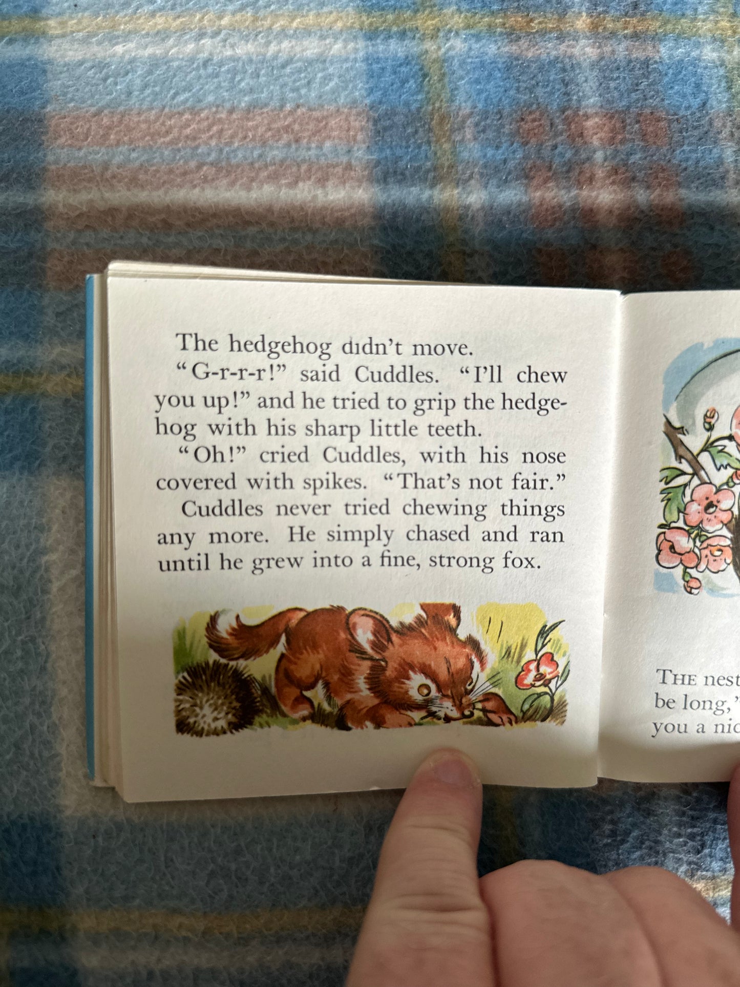 1950 Woodland Babies(A Pixie Book) Margery Colman(Collins) - Honeyburn Books (UK)