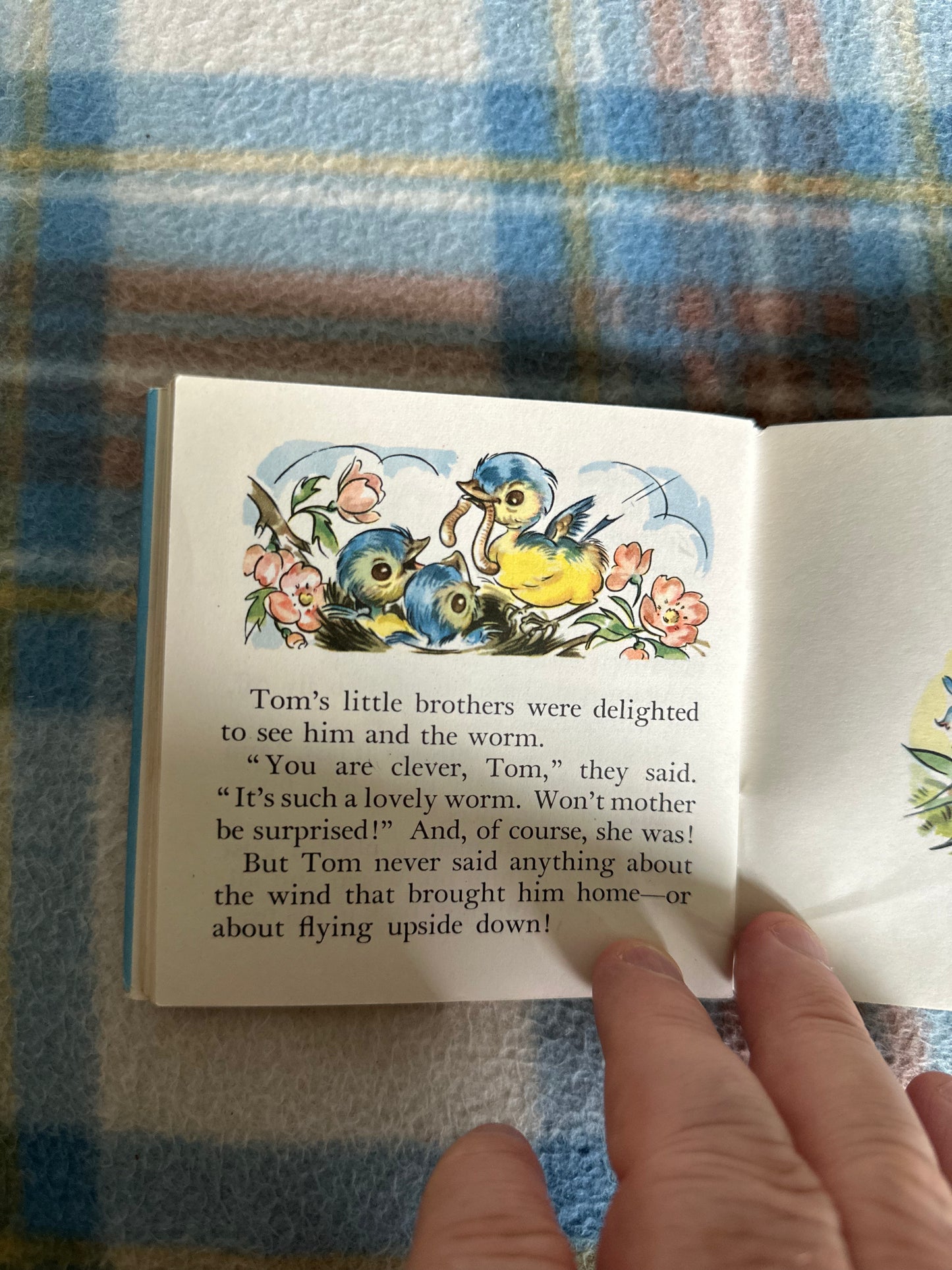 1950 Woodland Babies(A Pixie Book) Margery Colman(Collins) - Honeyburn Books (UK)