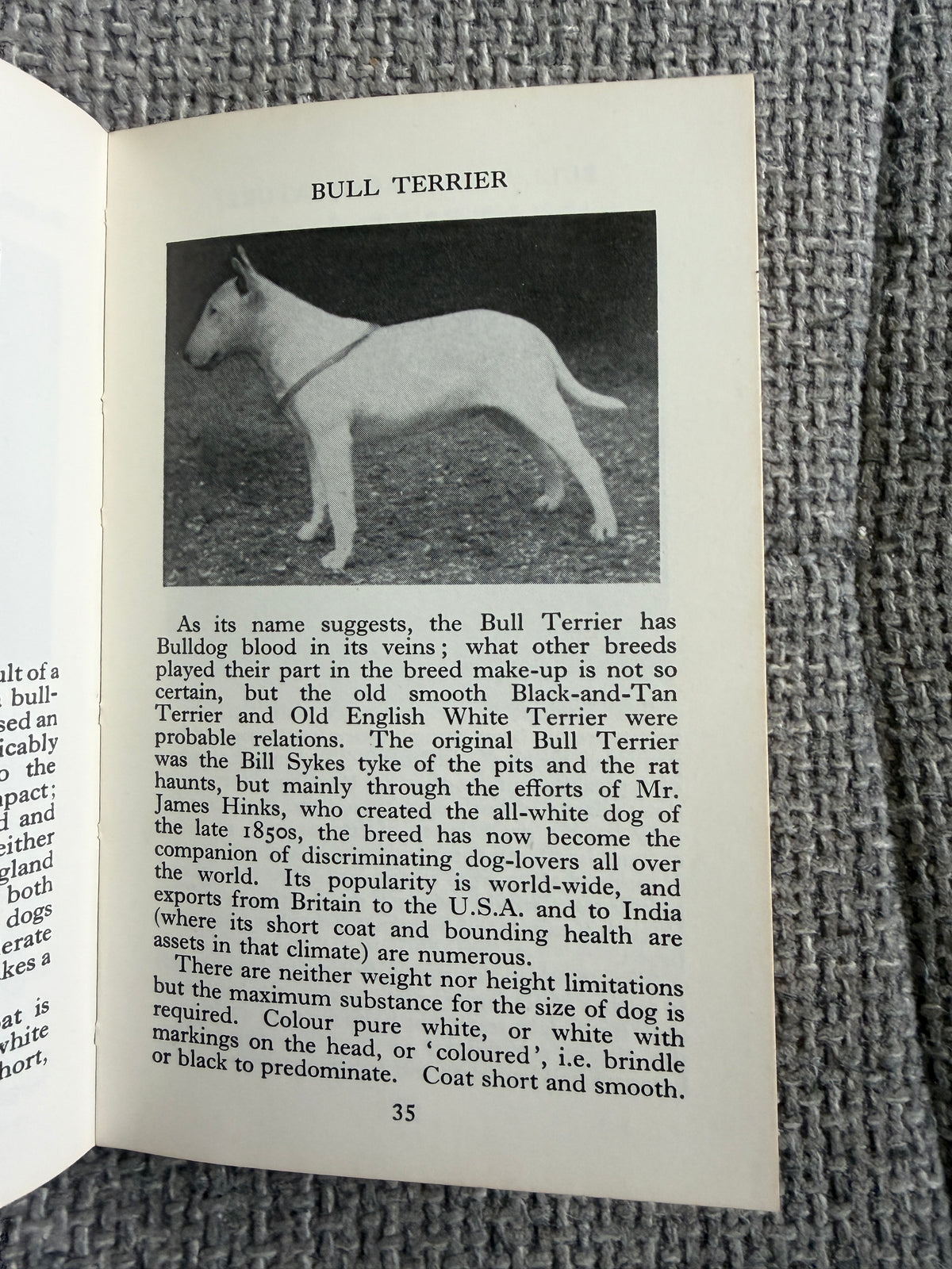 1969 The Observer’s Book Of Dogs - S. M. Lampson (Frederick Warne & Co Ltd) - Honeyburn Books (UK)
