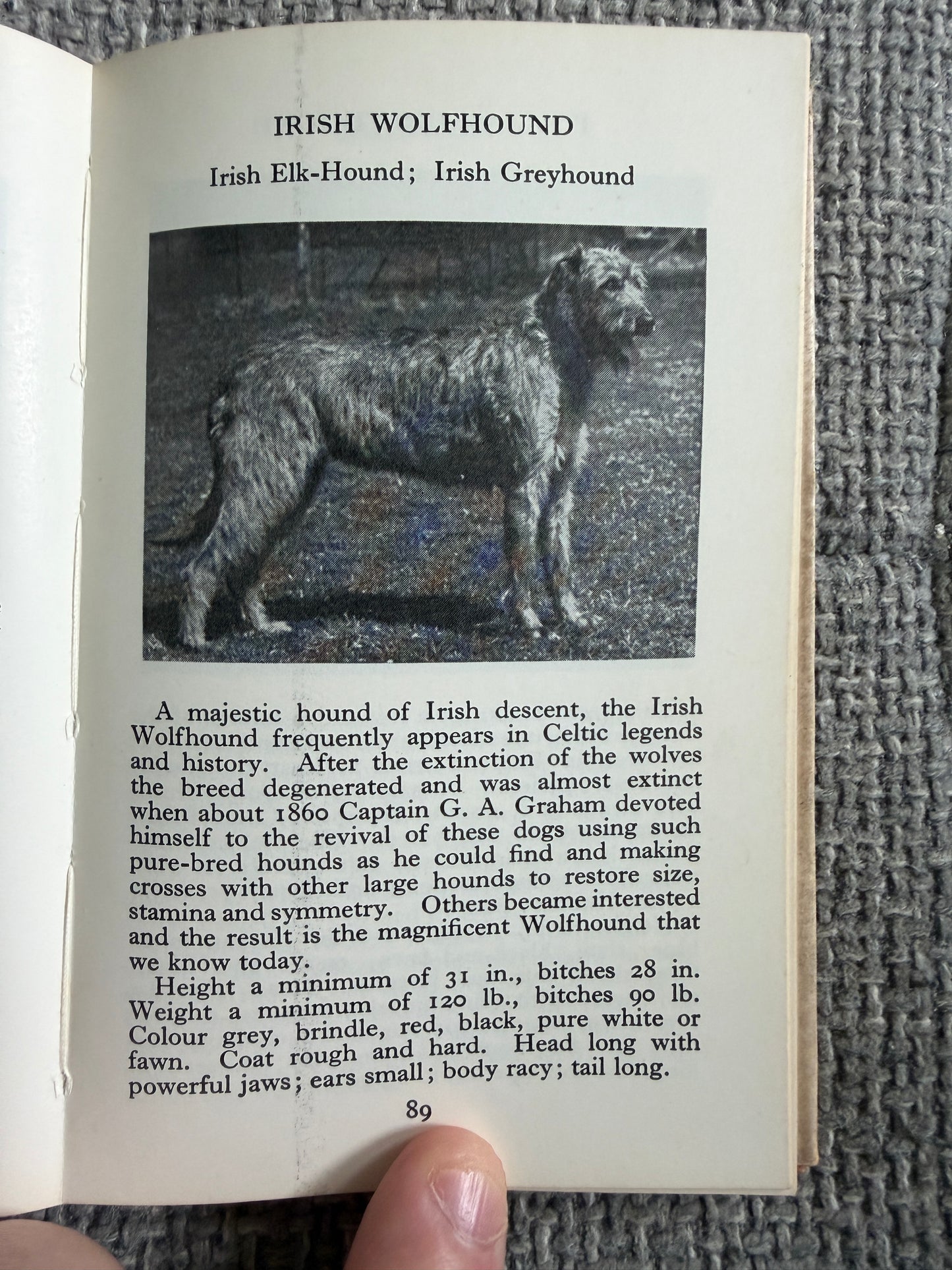 1969 The Observer’s Book Of Dogs - S. M. Lampson (Frederick Warne & Co Ltd)