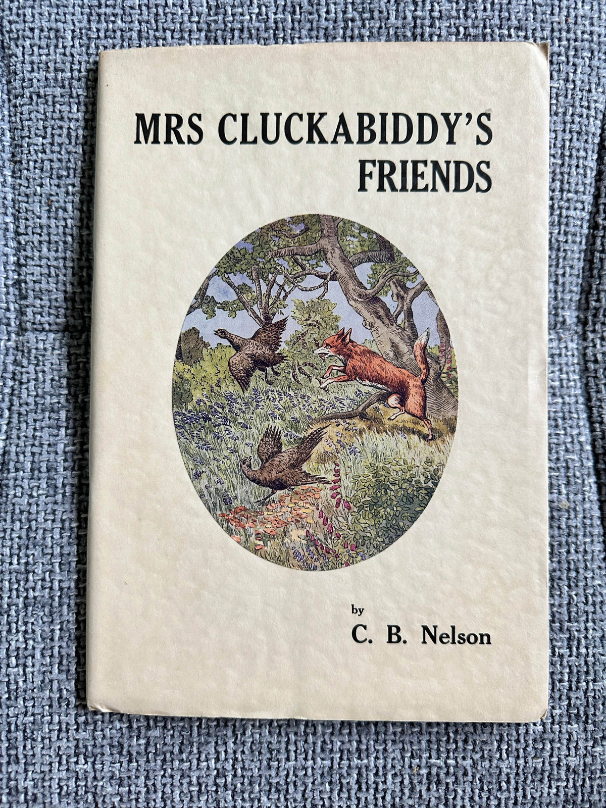 1935 Church Mice & Mrs Cluckabiddy’s Friends - C. B. Nelson(Figurehead) in Slipcase - Honeyburn Books (UK)