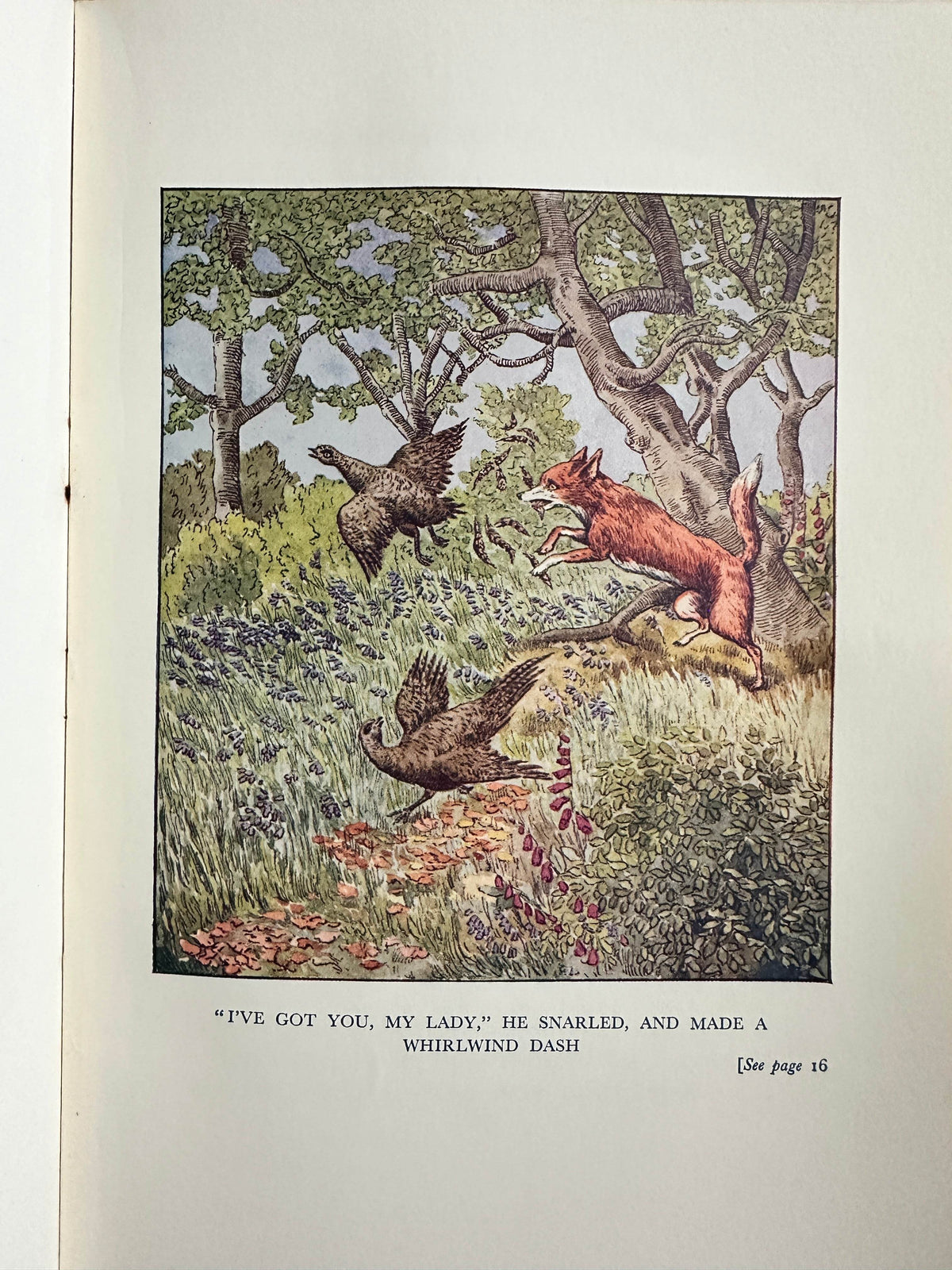 1935 Church Mice & Mrs Cluckabiddy’s Friends - C. B. Nelson(Figurehead) in Slipcase - Honeyburn Books (UK)
