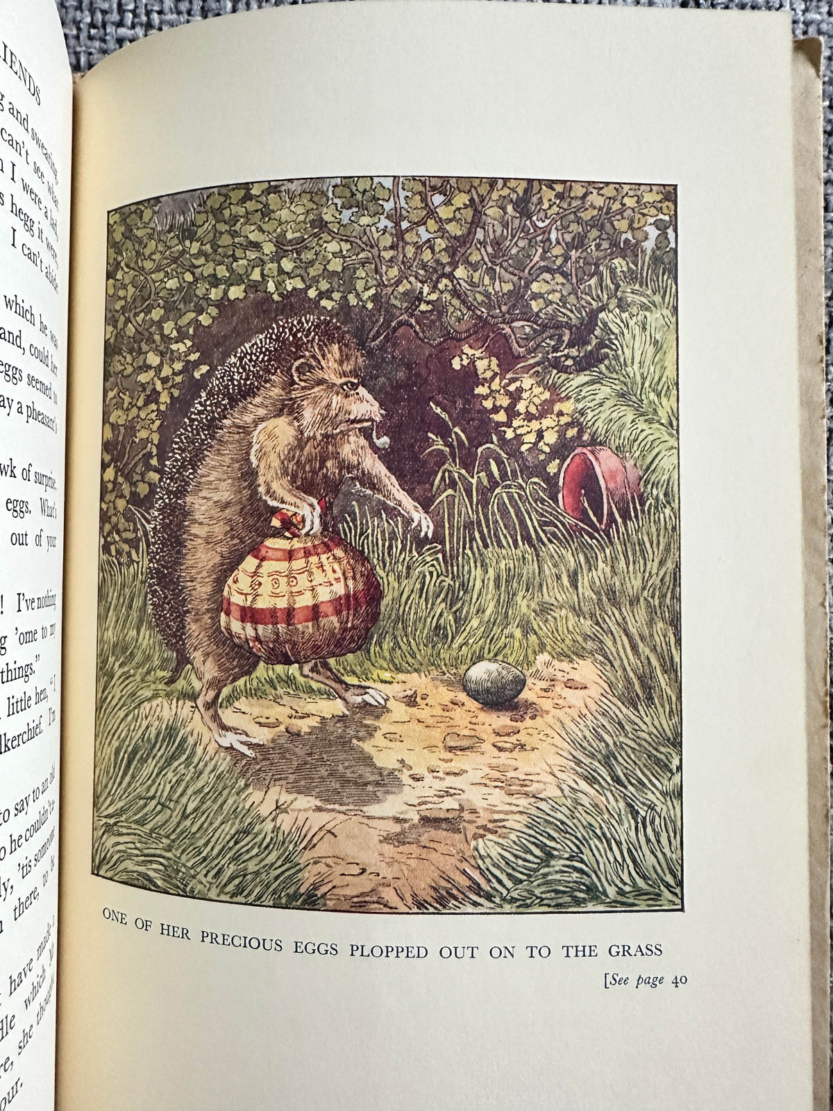 1935 Church Mice & Mrs Cluckabiddy’s Friends - C. B. Nelson(Figurehead) in Slipcase - Honeyburn Books (UK)