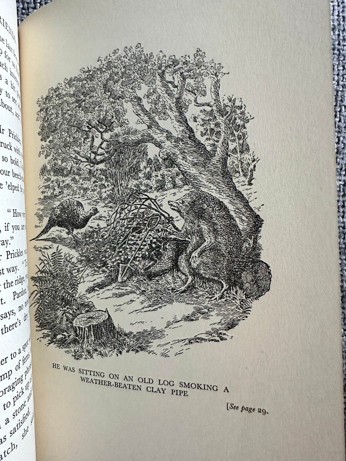 1935 Church Mice & Mrs Cluckabiddy’s Friends - C. B. Nelson(Figurehead) in Slipcase - Honeyburn Books (UK)