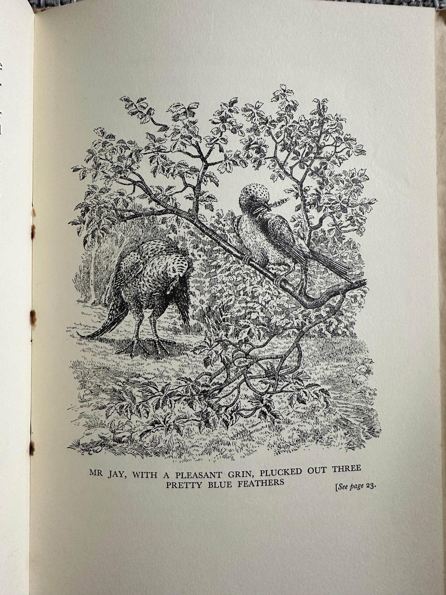 1935 Church Mice & Mrs Cluckabiddy’s Friends - C. B. Nelson(Figurehead) in Slipcase - Honeyburn Books (UK)